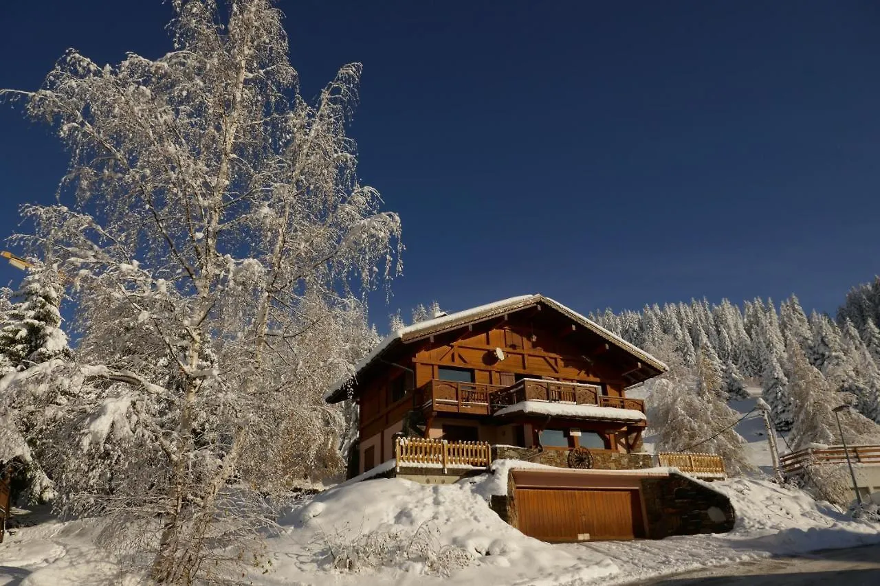 Les Saisies Cote Bisanne Appartement Dans Chalet Le Nepal France